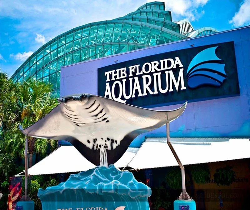 tampa aquarium